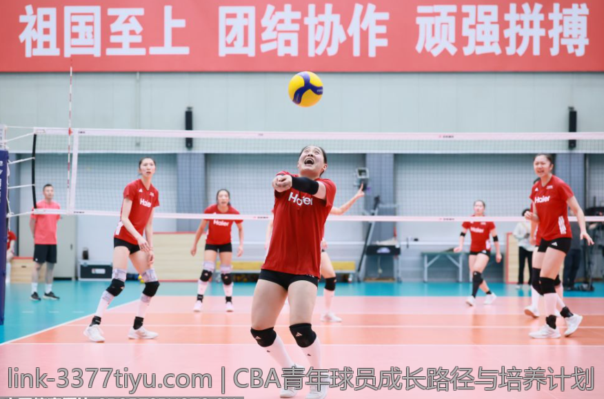 CBA青年球员成长路径与培养计划