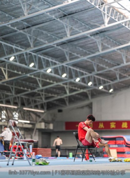 F1赛事直播观赛指南与体验分享