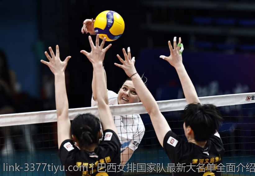巴西女排国家队最新大名单全面介绍