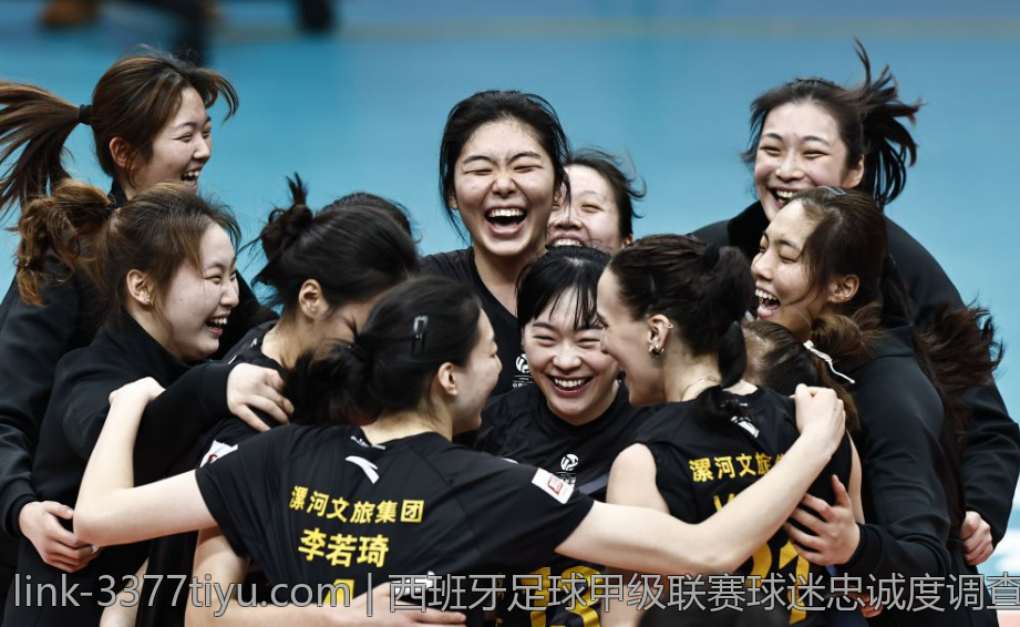 西班牙足球甲级联赛球迷忠诚度调查