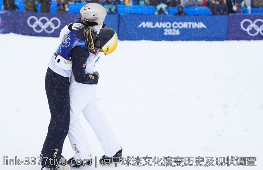 德甲球迷文化演变历史及现状调查