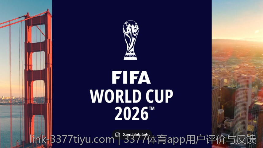 3377体育app用户评价与反馈