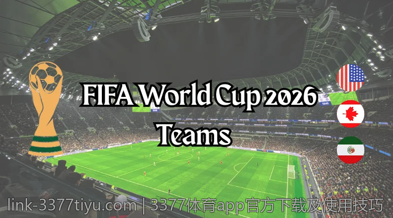 3377体育app官方下载及使用技巧